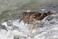 August 2021  Farmoor, Oxfordshire