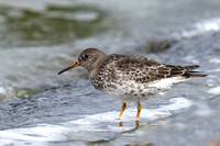 August 2021  Farmoor, Oxfordshire