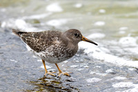 August 2021  Farmoor, Oxfordshire