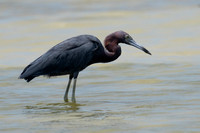 September 2023  Mustang Island, Corpus Christie, Texas