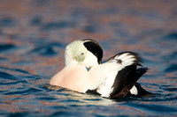 March 2015  Batsfjord, Norway