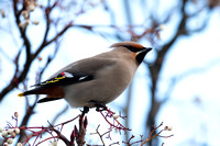 February 2020  Blackminster, Worcestershire