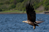 May 2017  Loch Tuath, Isle of Mull