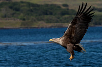 May 2017  Loch Tuath, Isle of Mull