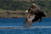 May 2017  Loch Tuath, Isle of Mull