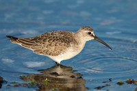 September 2020  Hayle, Cornwall