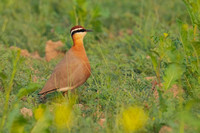 December 2022  Bharatpur, Rajasthan