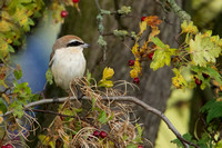 October 2020  South Kirkby, West Yorkshire